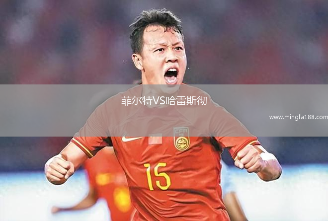 菲尔特VS哈雷斯彻