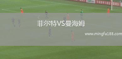 菲尔特VS曼海姆