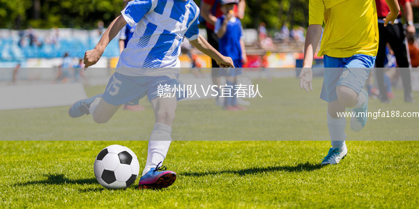 赣州队VS宜春队